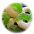 A50128 - Apple ring gummies