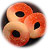 A50130 - Strawberry and banana ring gummies