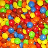 Coquilles chocolat�es