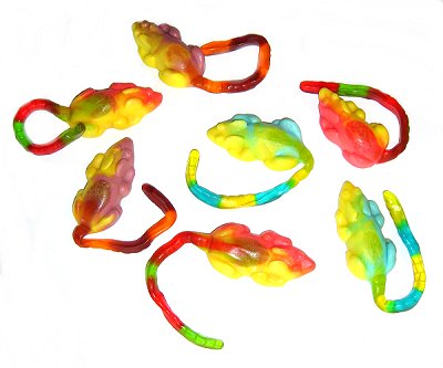 Souris g�latines
