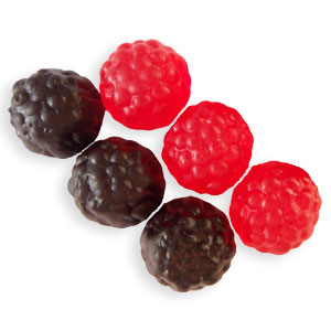 Red and Black Wild Berries