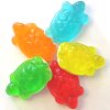 Tortues Assorties