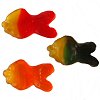 Tropical Fish