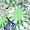 S�lection de bonbons emball�s