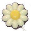 Chocolate Daisy