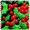 ChristmasHolly Berry Candy