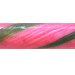 Fraise Kiwi - B�tonnets d'Antan