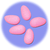 Pink Almond Confetti Candy