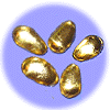 Gold Foil Almond Confetti Candy
