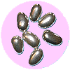 Silver Almond Confetti Candy