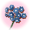 Bouquet de Renoncules