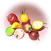 Petits Fruits D�coratifs