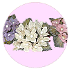 Mini Decorative Flowers