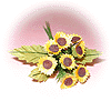Mini Tournesols
