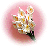Bouquet d'Arums