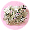 Bouquet de marguerites perl�es