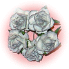 Bouquet de Roses P�le