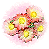 Bouquet de Tournesols