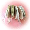 Rubans Iridescent
