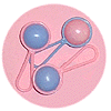 Decorative Baby Rattles