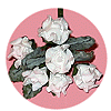 Foam Roses