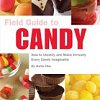 For Chocolate and Candy Lovers