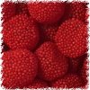 Strawberry Munchies
