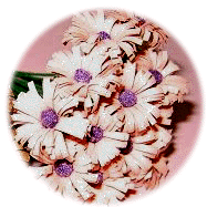 Mini Decorative Flowers